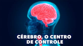 thumbnail - Cérebro, o Centro de Controle