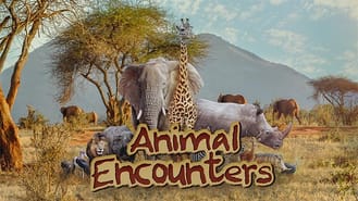 thumbnail - Animal Encounters