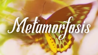 thumbnail - Metamorfosis