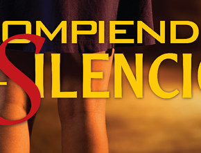 Afiche: Rompiendo el Silencio 2014