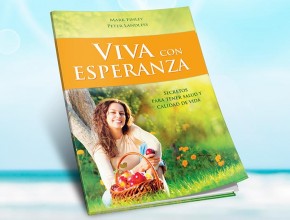 Banner 60 x 160: Viva con Esperanza – Impacto Esperanza 2015