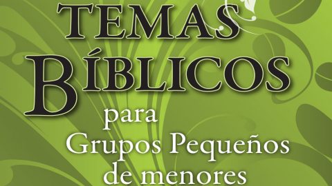 Libro: Temas Bíblicos para Grupos Pequeños - Sonia Rigoli Santos
