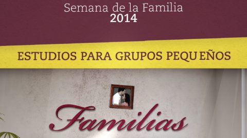 Guía para Grupo Pequeño: Familias [Im]Perfectas – Semana de la Familia 2014
