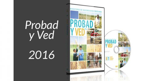 Probad y Ved 2016