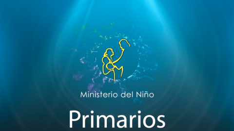 Primarios – Pretrimestral 1er trimestre 2017