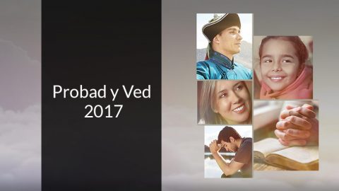 Probad y Ved 2017