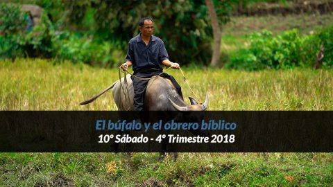 10º Sábado (4º Trim18) – El Búfalo y el obrero bíblico