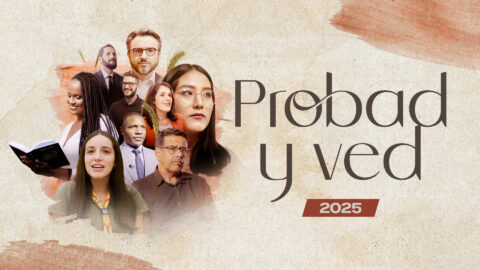 Probad y Ved 2025