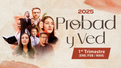 Probad y Ved 2025 - 1er Trimestre