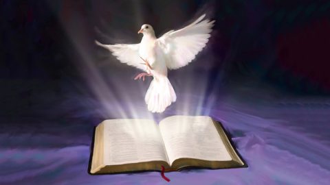 O Espírito Santo nas Escrituras - Dr. Amin Rodor