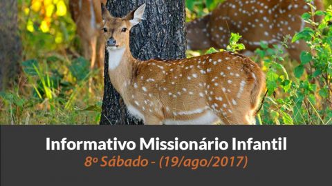 (Sáb 19/ago/2017) – Informativo Missionário Infantil