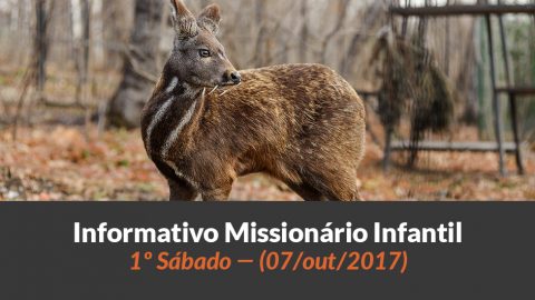 (Sáb 07/out/2017) – Informativo Missionário Infantil