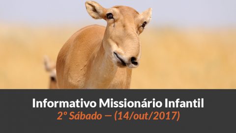 (Sáb 14/out/2017) – Informativo Missionário Infantil