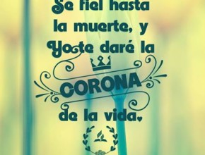El premio a la fidelidad