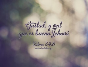 Rodeado por la misericordia