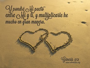 Alianzas perdidas