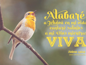 Dios en primer lugar