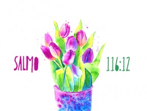 Gratitud
