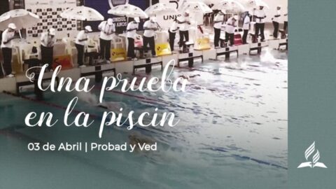 UNA PRUEBA EN LA PISCINA | PROBAD Y VED (03 de Abril)