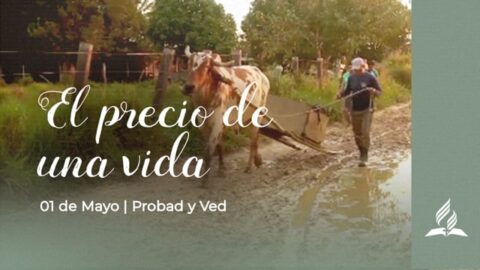 EL PRECIO DE UNA VIDA | PROBAD Y VED (01 de Mayo)