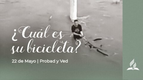 ¿CUÁL ES SU BICICLETA? | PROBAD Y VED 2021 (22 de Mayo)