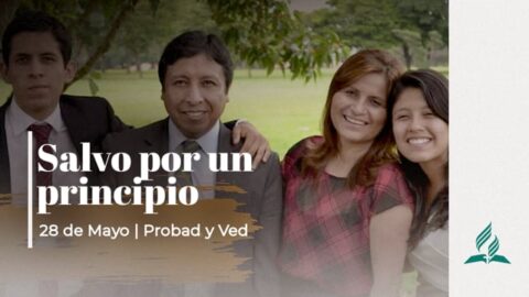 SALVO POR UN PRINCIPIO | PROBAD Y VED (28 de Mayo)