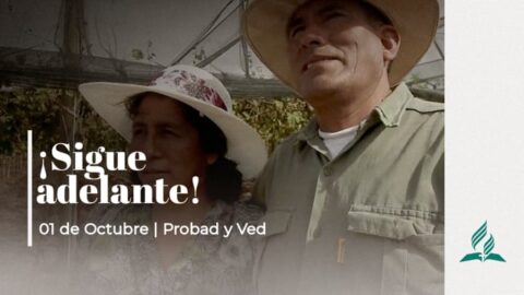 SIGUE ADELANTE! | PROBAD Y VED (01 Octubre)