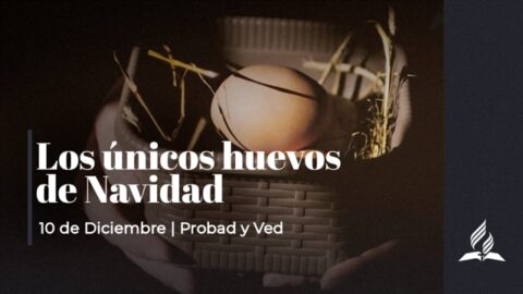 LOS UNICOS HUEVOS DE NAVIDAD | PROBAD Y VED (10 Diciembre)