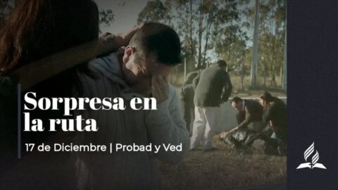 SORPRESA EN LA RUTA | PROBAD Y VED (17 Diciembre)