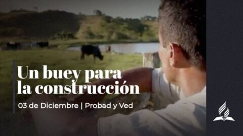 FREDY OJEDA | PROBAD Y VED (31 Diciembre)
