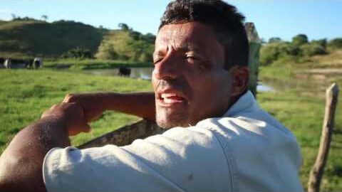 01/Abril Un buey para la construcción – Probad y Ved 2017 | Iglesia Adventista