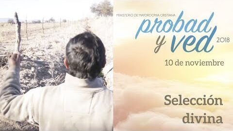10/Noviembre - Selección divina – Probad y Ved 2018
