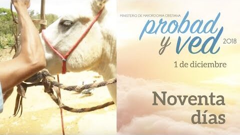 01/Diciembre - Noventa días – Probad y Ved 2018