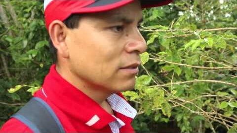24/oct. Plaga Bendita – Probad y Ved 2015