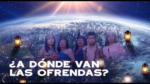 27. ¿A dónde van las ofrendas