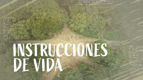 04. Instrucciones para la vida
