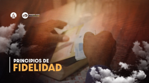 42. Principios de fidelidad