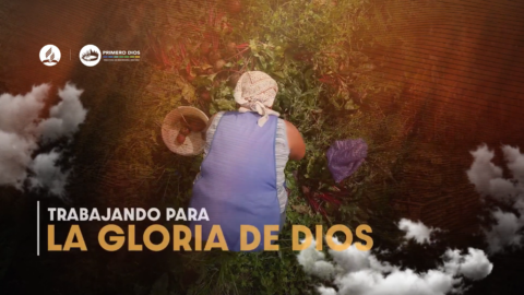 50. Trabajando para la gloria de Díos
