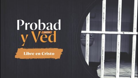 Libre en Cristo | Probad y Ved 2025 (31/Ene)
