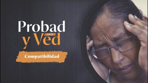 Compatibilidad | Probad y Ved 2025 (21/Feb)
