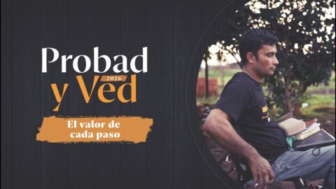 El valor de cada paso| Probad y Ved 2026 (18/Abr)