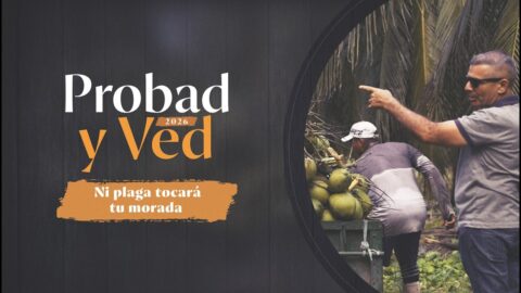 Ni plaga tocará tu morada | Probad y Ved 2026 (09/May)