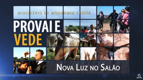 Nova luz no salao