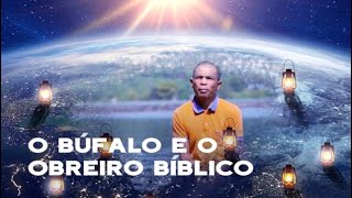 49. O bufalo e o obreiro biblico
