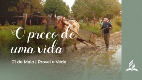 O PREÇO DE UMA VIDA