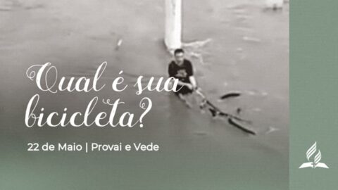 QUAL É SUA BICICLETA?