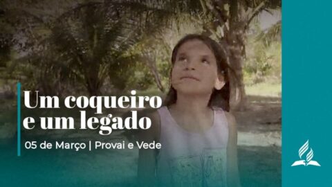 Um coqueiro e um legado