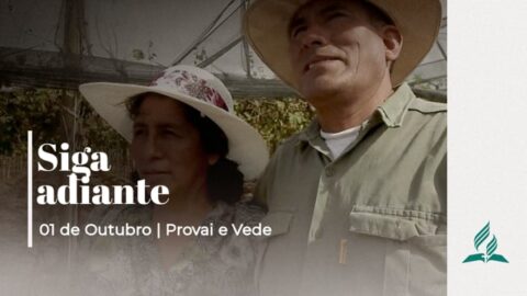 SIGA ADIANTE