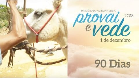 90 dias
