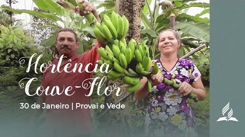 HORTÊNCIA COUVE FLOR
